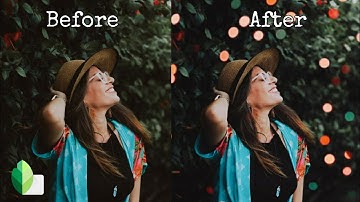 Snapseed Tutorial || Bokeh Effect || Bokeh Background || Bokeh Photography