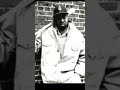 #Cappadonna #wutangclan #wutangtypebeat #wutang #sampling #coolassrick #hiphop #boombap #beats