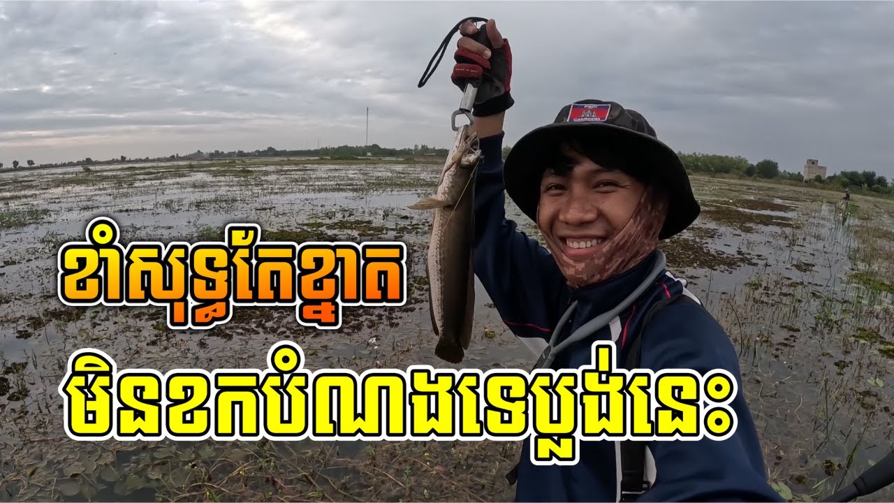 បបក់ត្រីនៅក្រោយផ្ទះត្រចៀកកាំ ខាំធំៗល្អណាស់ | សំបួរ | Fishing Snakehead Fish At SormBour