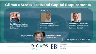 "Climate Stress Tests and Capital Requirements"