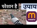 कबूतर से छुटकारा / Bird Spikes From Meesho/Unboxing video #meeshoapp #meesho 