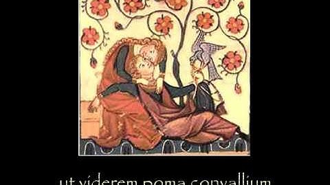 Dunstable: Descendi in hortum meum