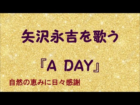 『A DAY』／矢沢永吉を歌う_515　by 自然の恵みに日々感謝