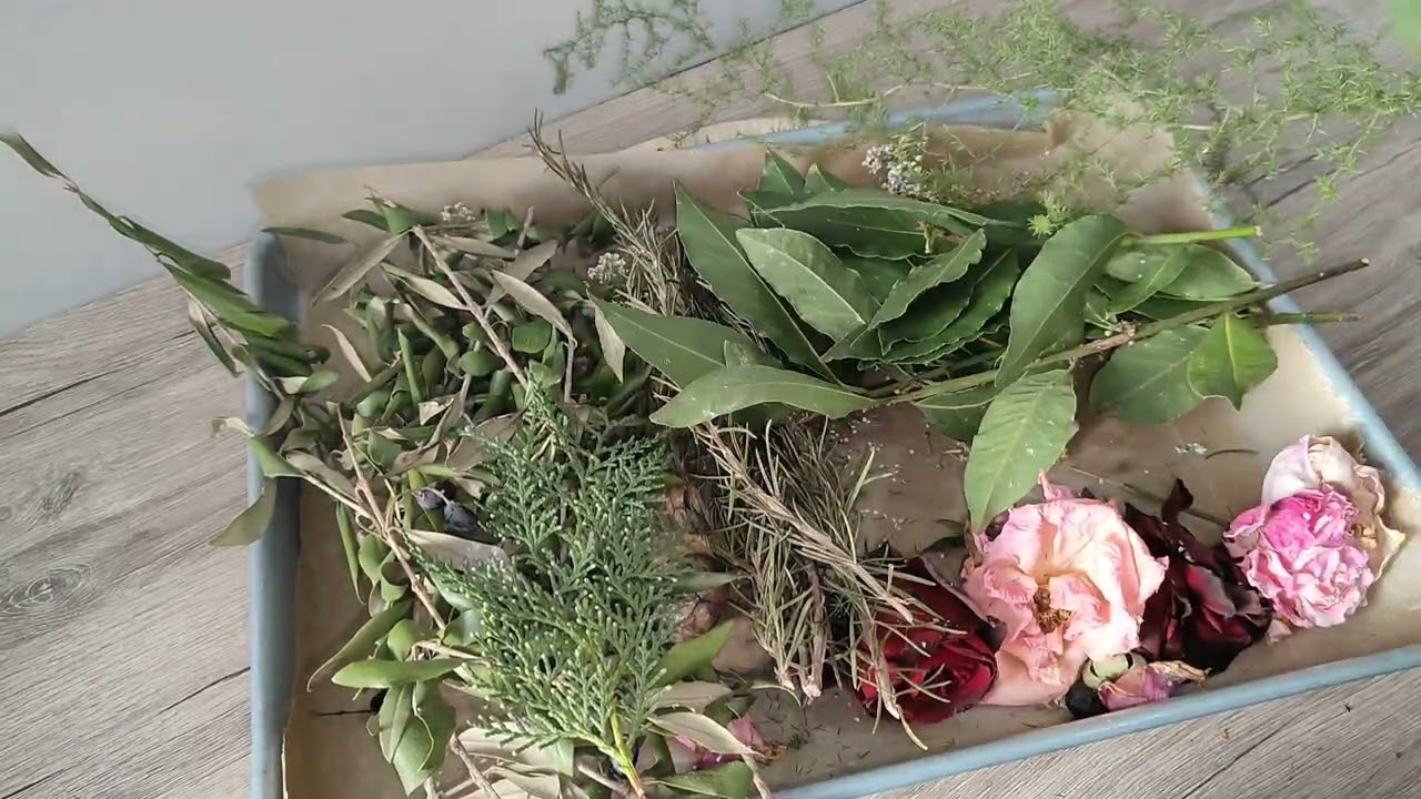 السر الذي لا يخبرك به أحد عن قطف وتجفيف الأعشاب 🌿 Harvesting Medicinal Herbs 🌿 | 