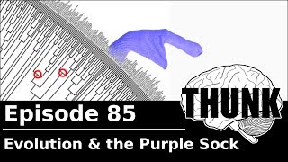 85. Evolution & the Purple Sock | THUNK