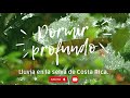 #3 DORMIR PROFUNDO/sonido de LLUVIA en la SELVA sueño reparador