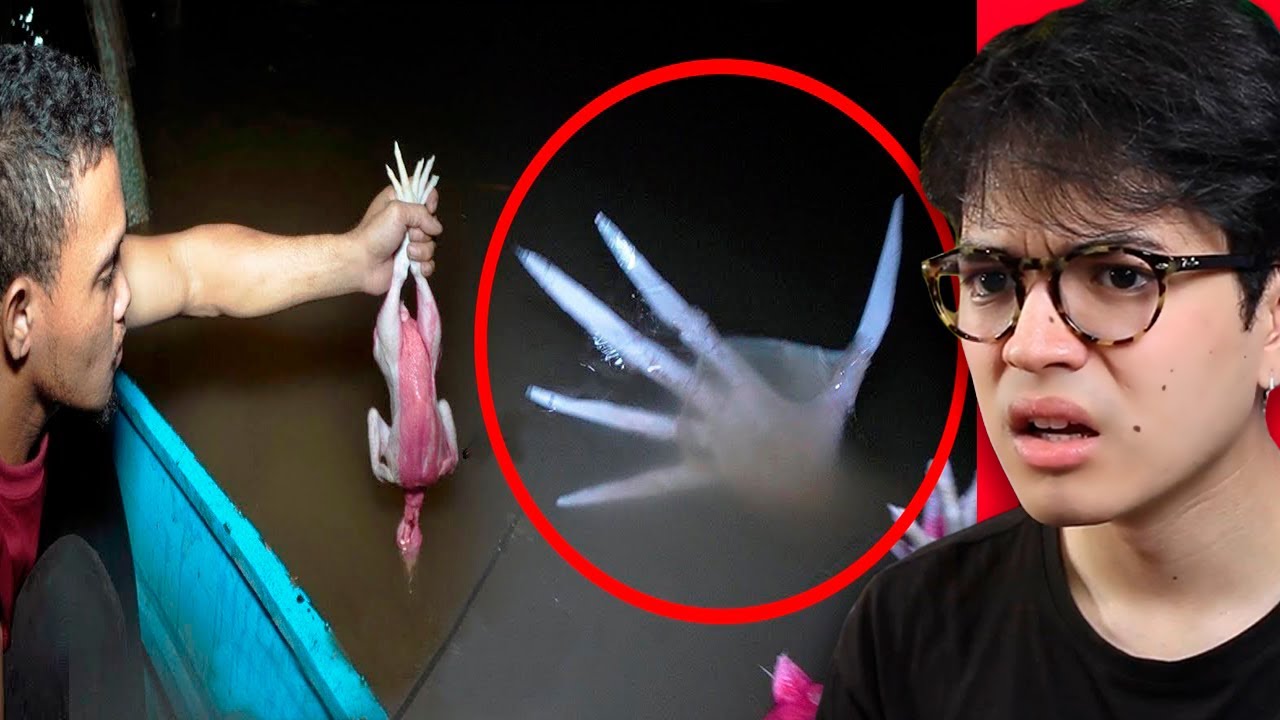 Tik toks que irão testar sua coragem antes de dormir