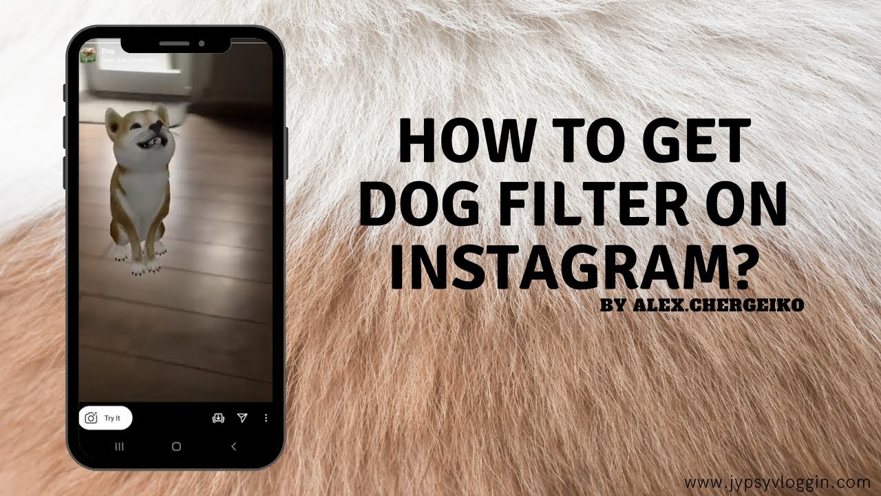 How to get the dog Filter on Instagram