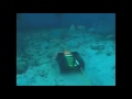 Nasa neemo 2004