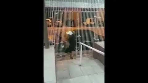Thurrann  Kekel e MC kevinho paródia ó bebê