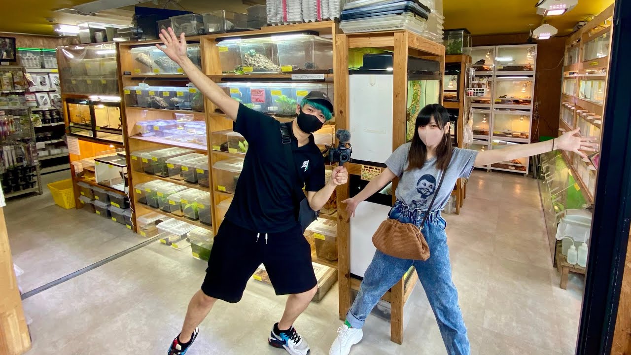 【埼玉県最大級】の爬虫類ショップに妻と潜入してみた