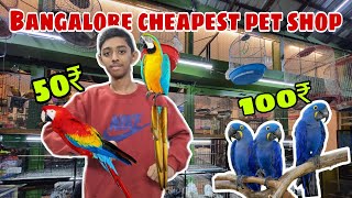Bangalore's cheapest pet shop| betta fish 50₹,birds100₹|#petshop