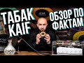 HT №250. Новый табак KAIF. Обзор по фактам / New tobacco KAIF factual review.