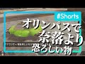 オリンパスで一番恐ろしいのは奈落の落とし穴ではなく『街灯』かもしれない　ApexLegends エーペックスレジェンズ　#Shorts