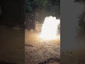 Diwali Celebration рџЋ рџЋ Song рџЋµ вњЁ Diwali Song Diwali Celebration рџЋ рџЋ Song рџЋµ вњЁ Diwali Song