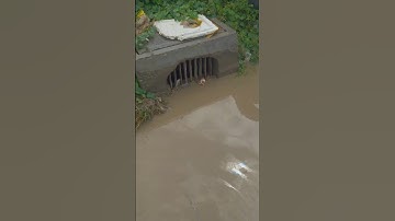 Unclogged  Trash Culvert drain to water flow #shorts #cleaning