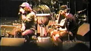 Pearl Jam - Bee Girl (Mt View, 1994)