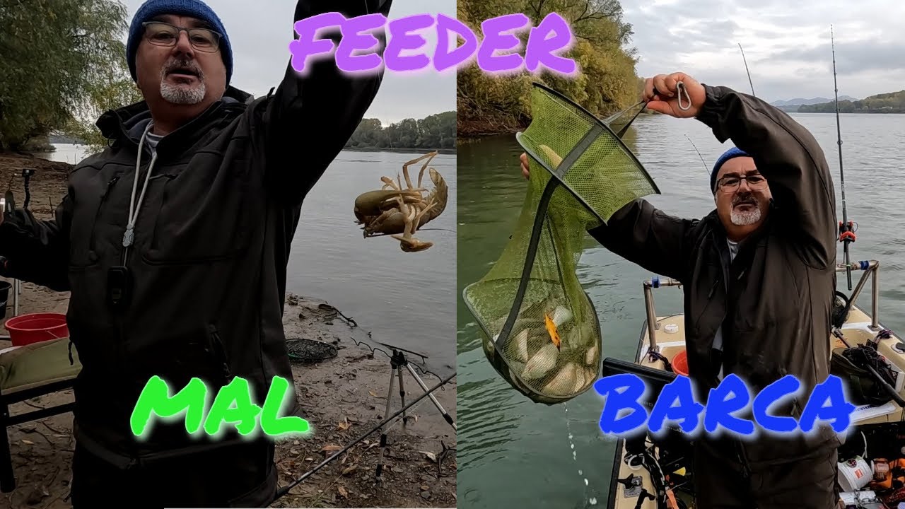 Tehnici De Feeder Pe Dunăre Care Prind Mereu. Echipamente Delphin și Dam în teste.