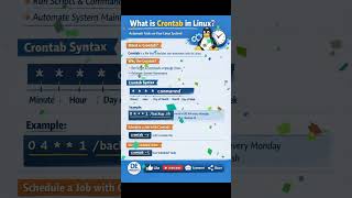 Stop Running Scripts Manually ❌ | Learn Crontab Fast