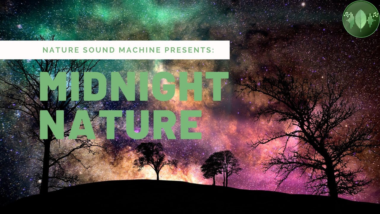 Midnight Nature to the Nature Sound Machine YouTube