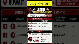 Shutdown Visa #kuwait ✈️ 30 June #delhi #jobs #interview #trending #viral #video #shorts #कुवैत #vi