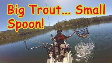 Big Cutthroat Crushes Trigger Spoon Jr!