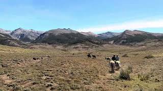 Riding Out On Patagonian Andes Tour