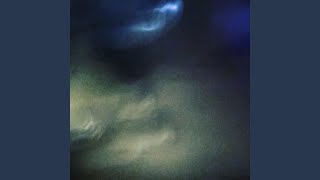 Parallel Dreams