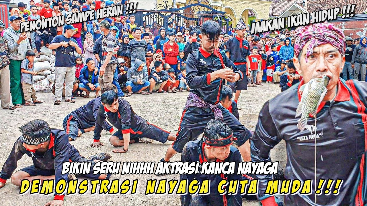 DEMONSTRASI NAYAGA!!!KESURUPAN KUDA LUMPING NGAMUK || Cuta Muda Grup Abah Jaka