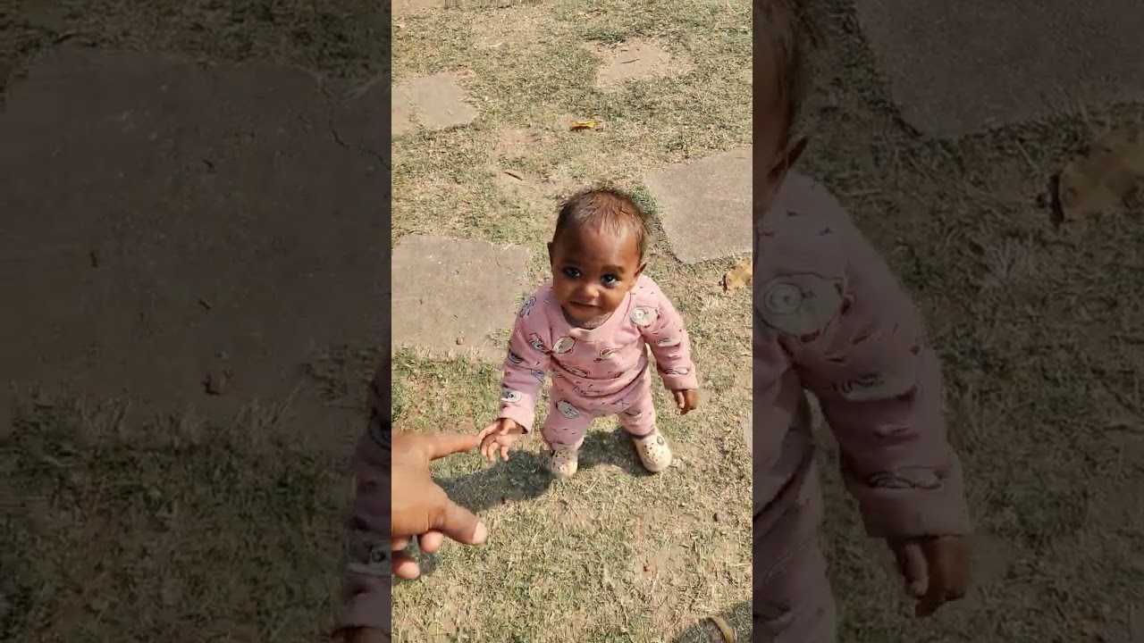 16 सेक्टर चंडीगढ़ 😘 रोज गार्डन 😃