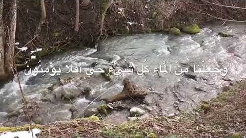 ما تيسر من سورة الأنبياء بصوت القارئ أنس الشهاب