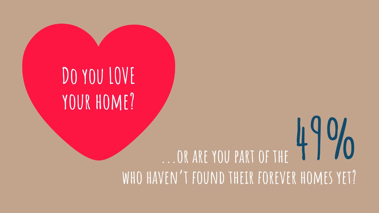 51 of Homeowners Love Their Forever Homes Do You 51 of Homeowners Love Their Forever Homes Do You