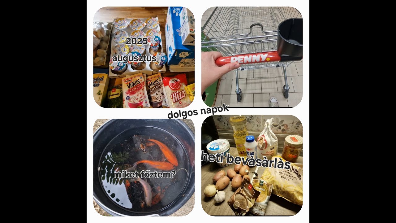 Augusztus hónap első hete #bevásárlás #kertprojekt #mutimiteszel