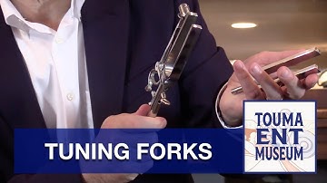 The Evolution of Tuning Forks