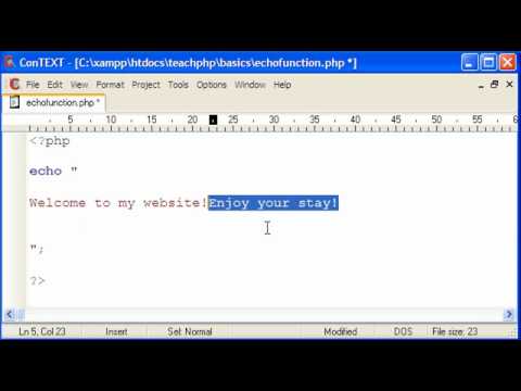 PHP Basics: Echo Function