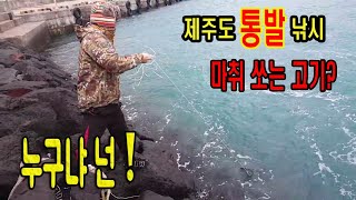 사람을 죽인다는 물고기 !! 죽고싶지 않다면 절대 손대지 말것 ! 통발낚시 / Devils Fish 사람을 죽인다는 물고기 !! 죽고싶지 않다면 절대 손대지 말것 ! 통발낚시 / Devils Fish