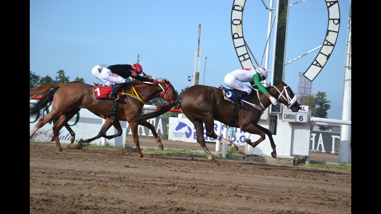 Clásico Arturo A. Bullrich (G3) 2026 - Qué Buena B (Qué Vida Buena)