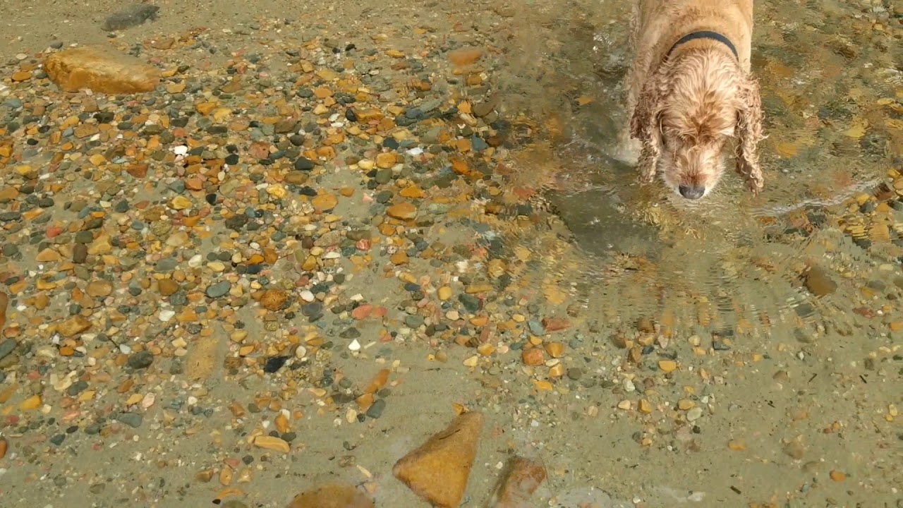 Killarney, O.S.A. Lake