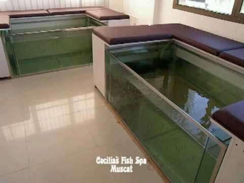 Cecilias Fish Spa Muscat