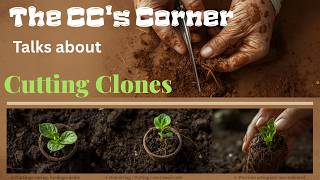 Technics for Cutting Clones and Why