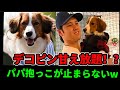 デコピン甘え放題！？パパの抱っこが止まらない🐾 