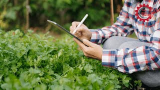 Smart Farming with AI: Detecting Pests and Diseases Effortlessly