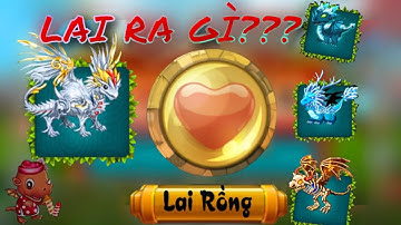 Đảo rồng mobile || Lai Phượng Hoàng Băng với rồng event sẽ được gì ??