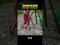 修竹做簡易漁網,拉上來全是驚喜大魚 #捕鱼,自制渔网,山野生活,意外收获,大鱼