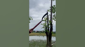 Tôi làm con rựa phát rẫy bằng thép chốt xích xe tăng chặt cây như chặt chuối vậy