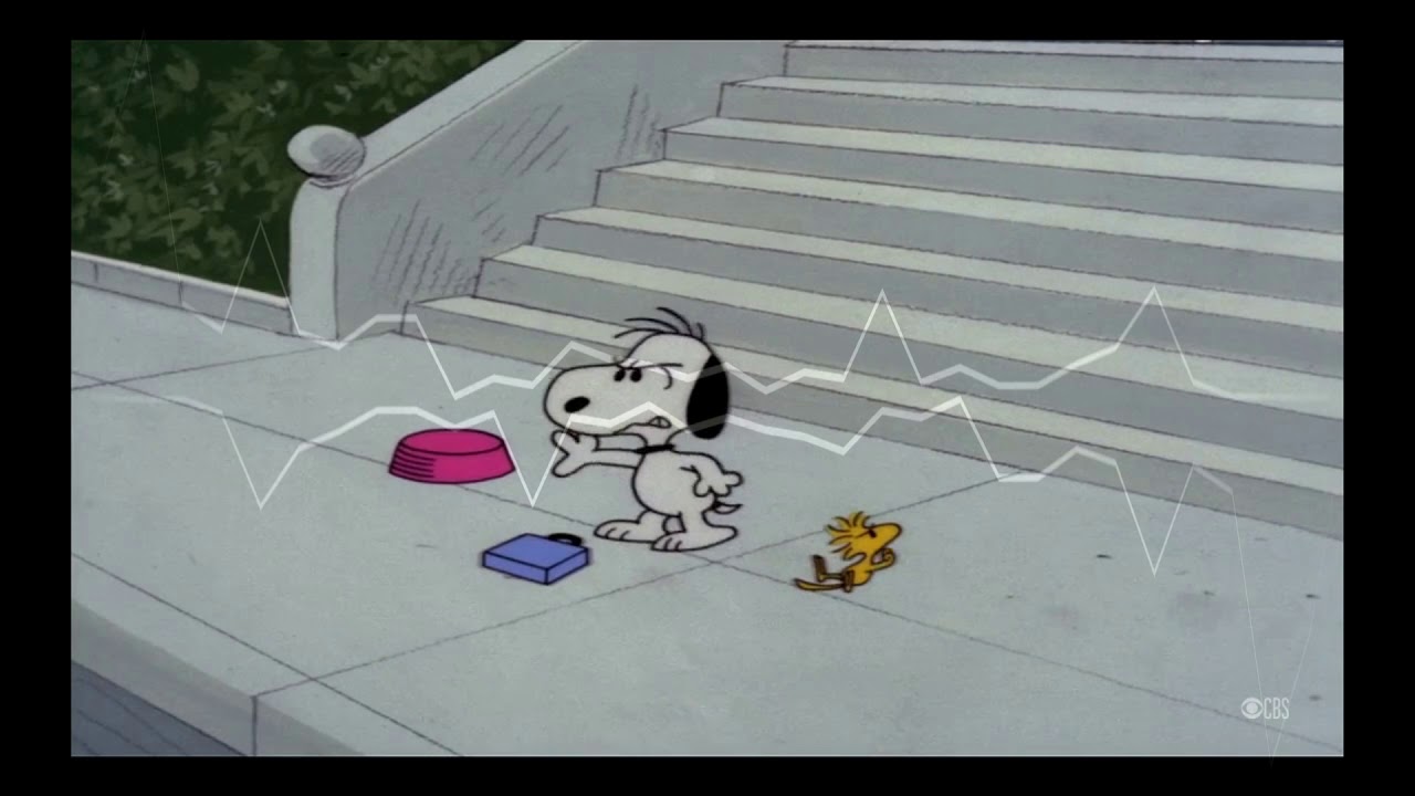 SNOOPY COME HOME INSPIRED RAP BEAT