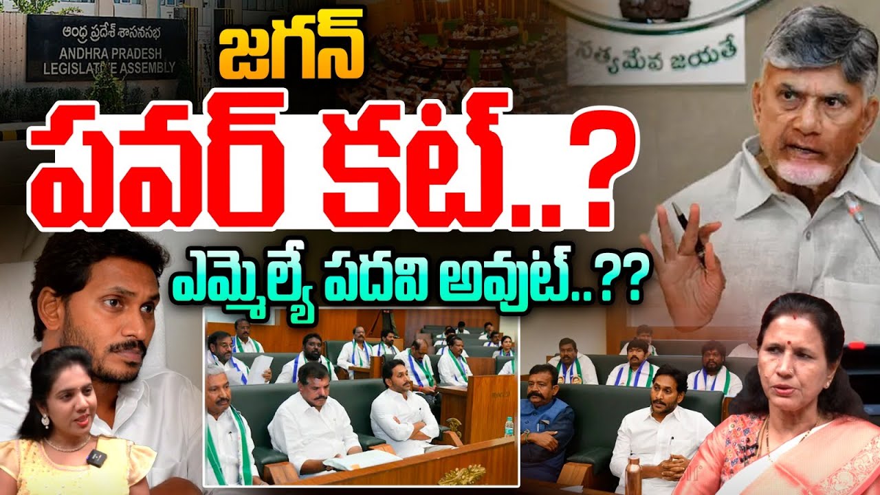 YS Jagan Power Cut: జగన్ పవర్ కట్..? | CM Chandrababu | AP Assembly 2025 | AP News | Wild Wolf Focus