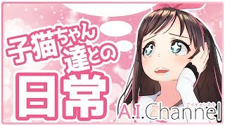 うちの子猫ちゃんのアイが重すぎる件について