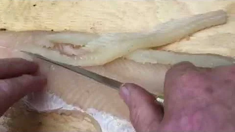 How to Fillet & Debone a Northern Pike BEST METHOD...