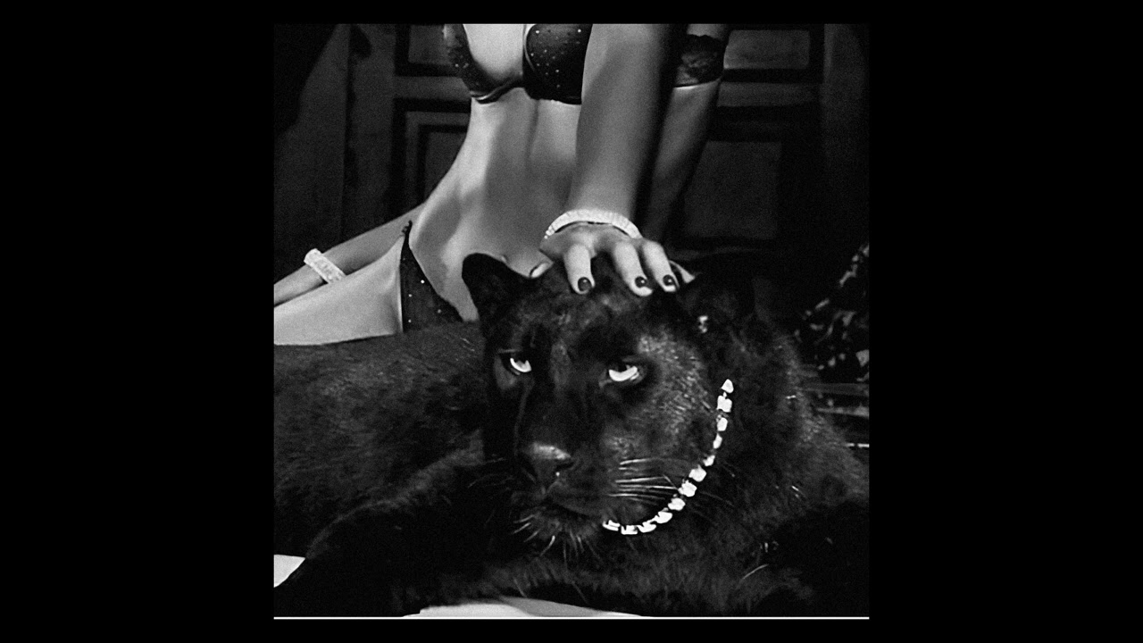 (FREE) BABY KEEM TYPE BEAT - STATS FREESTYLE